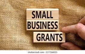 NewTek Small Business Grants