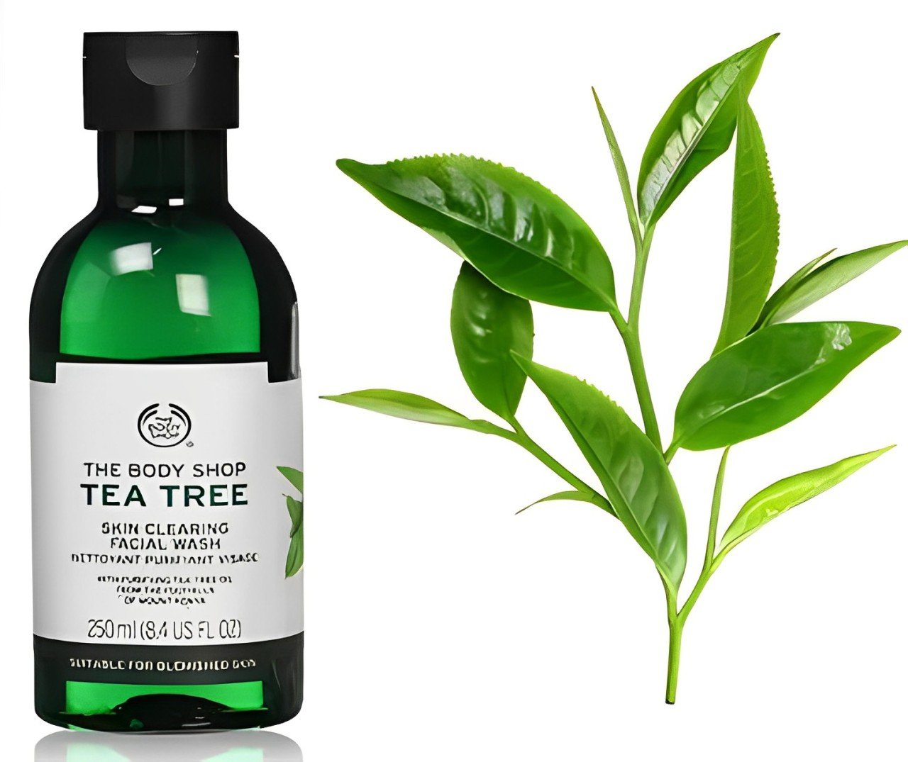 Cleansers with Tea Tree Oil