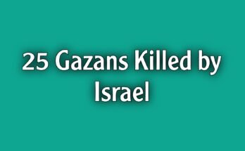 25 additional Gazans are slain by Israel